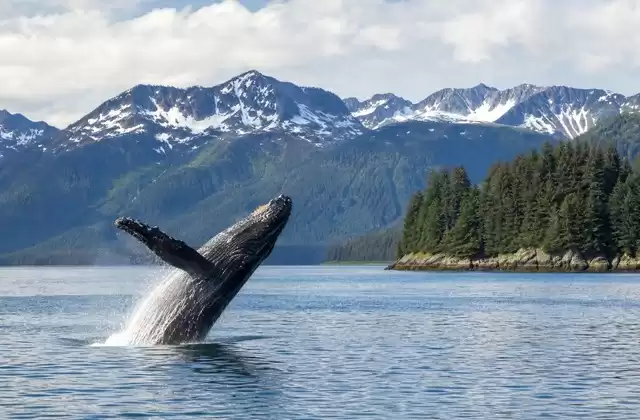 En Juneau