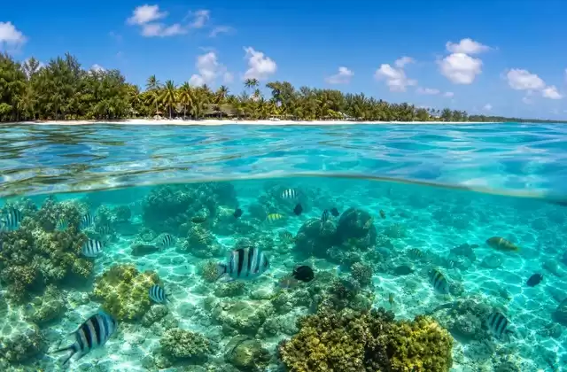 En Mauricio