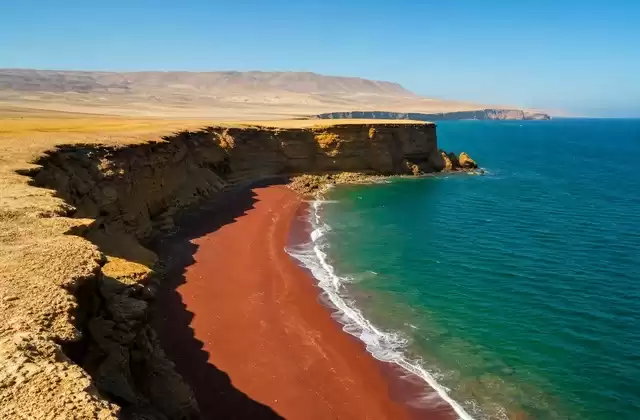 En la reserva de Paracas