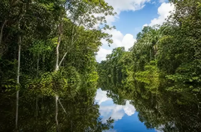 En la Amazonía peruana