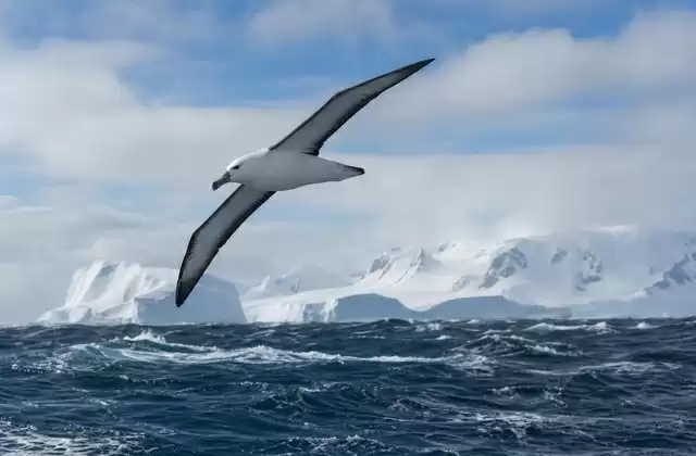 El paso de Drake y la corriente circumpolar