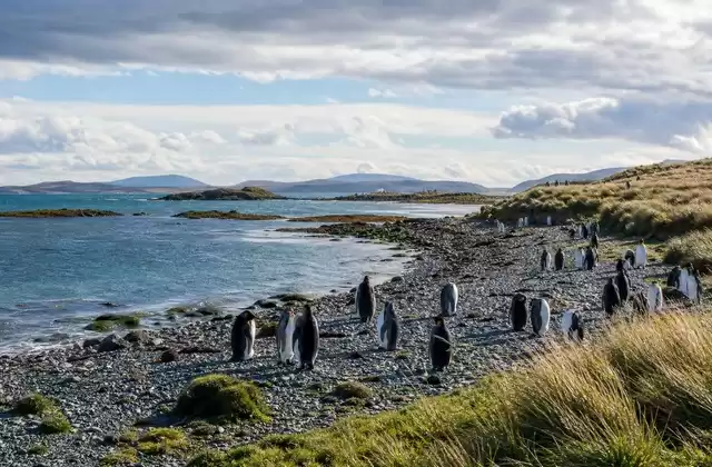 Islas Malvinas
