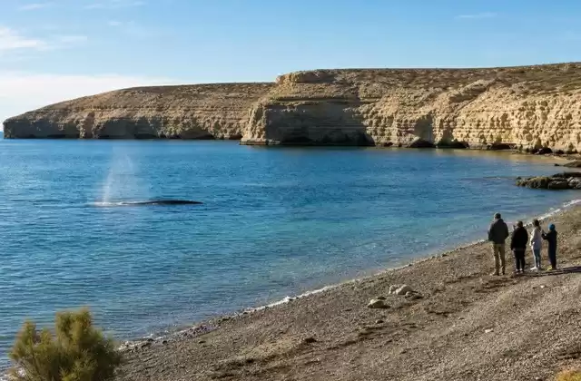Puerto Pirámides