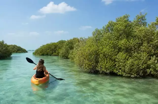Sir Bani Yas