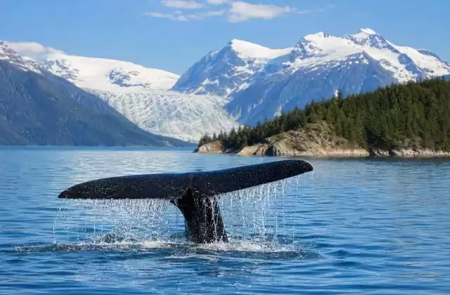 Juneau