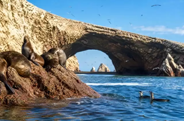 Islas Ballestas