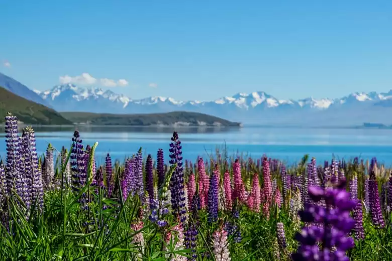 Bahía de Islandia